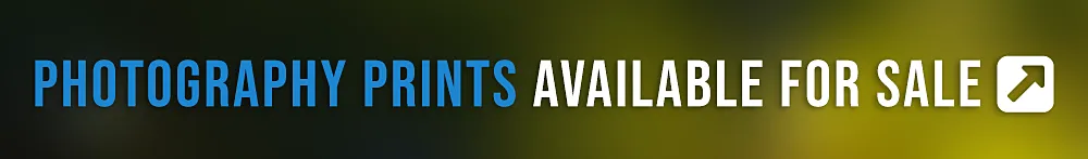 Photography Prints Available for Sale